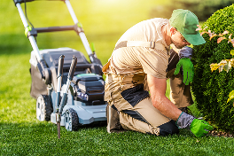 lawn-care