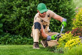 home-exceptional-service-img02